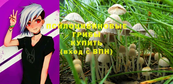 шишки Аркадак