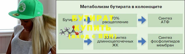 шишки Аркадак