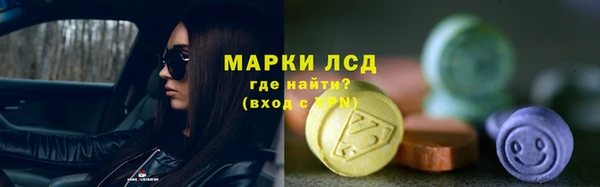 шишки Аркадак