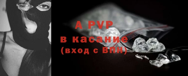 шишки Аркадак