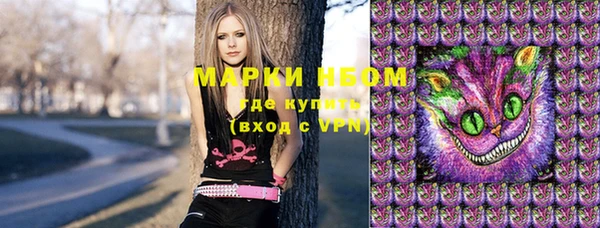 шишки Аркадак