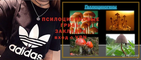 шишки Аркадак