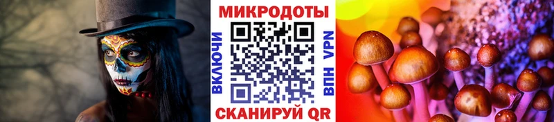 OMG как зайти  Лукоянов  Галлюциногенные грибы мухоморы 